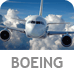Land en Boeing 737-800 Gavekort