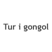 Tur i Gondol for 2 Gavekort