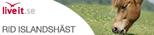 Islandshäst Presentkort