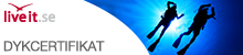 Dykcertifikat Presentkort