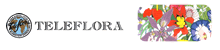 Teleflora Lahjakortti