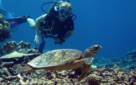 Dykkergitte Gavekort
