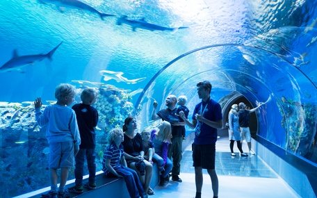 Den Blå Planet Gavekort