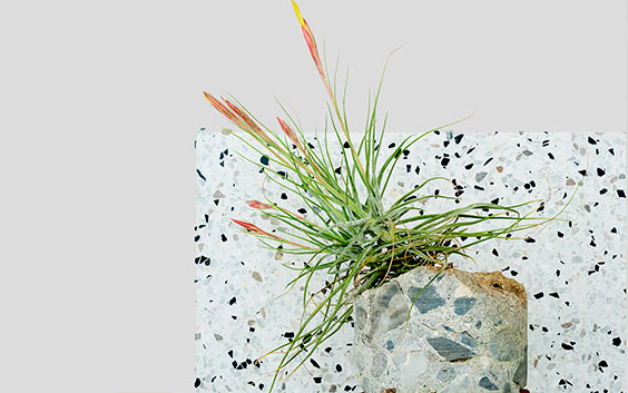 Plant København Gavekort