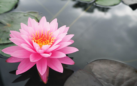 Klinik Bodywork Gavekort