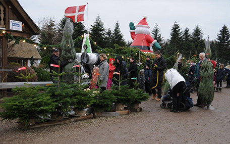 Mosegaardens Juletræssalg Gavekort