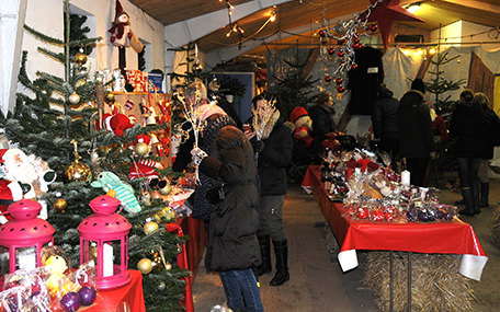 Mosegaardens Juletræssalg Gavekort
