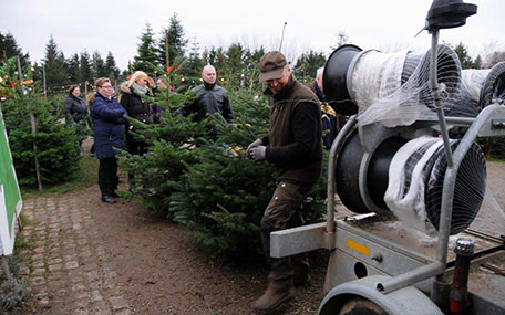 Mosegaardens Juletræssalg Gavekort