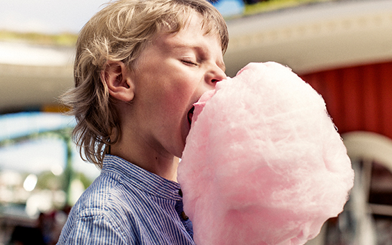 Liseberg Entrébillet