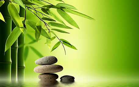 SKØN Hudpleje Gavekort